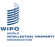 Logo OMPI | Organisation mondiale de la propriété intellectuelle