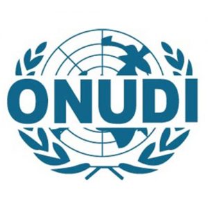 Logo ONUDI | Organisation des Nations Unies pour le développement industriel